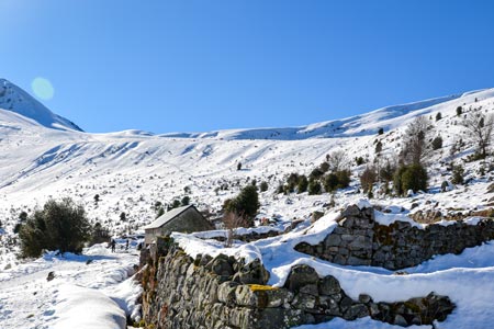 courtaou des esclozes en hiver