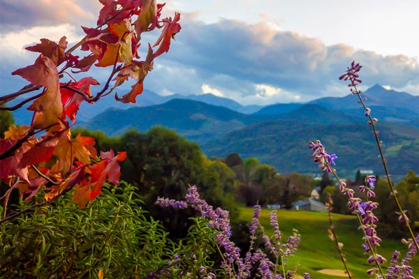 Vue depuis le golf sur Bagnères-de-Bigorre. 