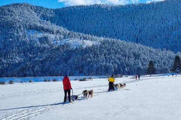 musher avec chiens de traineau au lac de payolle